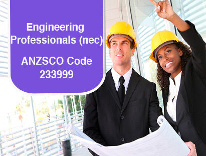 Engineering Professionals (nec)